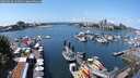./images/victoria/wharf/20250614/wharf20250614_131511M.jpg