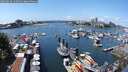 ./images/victoria/wharf/20250614/wharf20250614_132010M.jpg