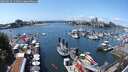 ./images/victoria/wharf/20250614/wharf20250614_134011M.jpg