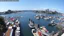 ./images/victoria/wharf/20250614/wharf20250614_135510M.jpg