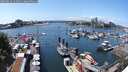 ./images/victoria/wharf/20250614/wharf20250614_141010M.jpg