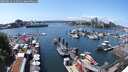 ./images/victoria/wharf/20250614/wharf20250614_141510M.jpg