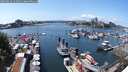 ./images/victoria/wharf/20250614/wharf20250614_142012M.jpg