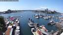 ./images/victoria/wharf/20250614/wharf20250614_143010M.jpg