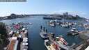 ./images/victoria/wharf/20250614/wharf20250614_150510M.jpg