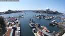 ./images/victoria/wharf/20250614/wharf20250614_153010M.jpg