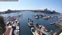 ./images/victoria/wharf/20250614/wharf20250614_155011M.jpg