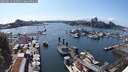 ./images/victoria/wharf/20250614/wharf20250614_160511M.jpg