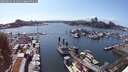 ./images/victoria/wharf/20250614/wharf20250614_161011M.jpg