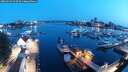 ./images/victoria/wharf/20250615/wharf20250615_043509M.jpg