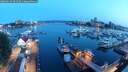 ./images/victoria/wharf/20250615/wharf20250615_044509M.jpg