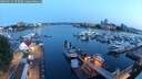 ./images/victoria/wharf/20250615/wharf20250615_045009M.jpg