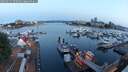 ./images/victoria/wharf/20250615/wharf20250615_050509M.jpg