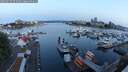 ./images/victoria/wharf/20250615/wharf20250615_051009M.jpg
