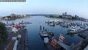 ./images/victoria/wharf/20250615/wharf20250615_052009M.jpg