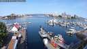 ./images/victoria/wharf/20250615/wharf20250615_091510M.jpg