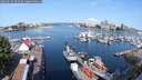 ./images/victoria/wharf/20250615/wharf20250615_092510M.jpg