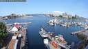 ./images/victoria/wharf/20250615/wharf20250615_093510M.jpg