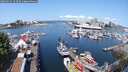 ./images/victoria/wharf/20250615/wharf20250615_103510M.jpg