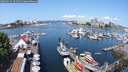 ./images/victoria/wharf/20250615/wharf20250615_104511M.jpg