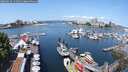 ./images/victoria/wharf/20250615/wharf20250615_111011M.jpg