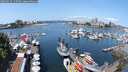./images/victoria/wharf/20250615/wharf20250615_115510M.jpg
