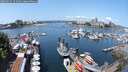 ./images/victoria/wharf/20250615/wharf20250615_121009M.jpg