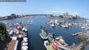 ./images/victoria/wharf/20250615/wharf20250615_121511M.jpg