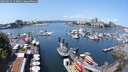 ./images/victoria/wharf/20250615/wharf20250615_123011M.jpg
