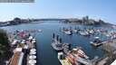 ./images/victoria/wharf/20250615/wharf20250615_143011M.jpg
