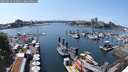 ./images/victoria/wharf/20250615/wharf20250615_144011M.jpg