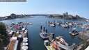 ./images/victoria/wharf/20250615/wharf20250615_144511M.jpg