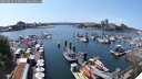 ./images/victoria/wharf/20250615/wharf20250615_145012M.jpg