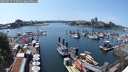 ./images/victoria/wharf/20250615/wharf20250615_150012M.jpg