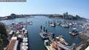 ./images/victoria/wharf/20250615/wharf20250615_151510M.jpg