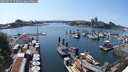 ./images/victoria/wharf/20250615/wharf20250615_153012M.jpg