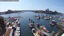 ./images/victoria/wharf/20250615/wharf20250615_155510M.jpg