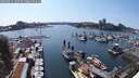 ./images/victoria/wharf/20250615/wharf20250615_160509M.jpg