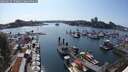 ./images/victoria/wharf/20250615/wharf20250615_170012M.jpg