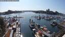 ./images/victoria/wharf/20250615/wharf20250615_170510M.jpg
