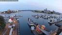 ./images/victoria/wharf/20250616/wharf20250616_050508M.jpg