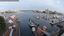 ./images/victoria/wharf/20250616/wharf20250616_064011M.jpg