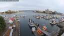 ./images/victoria/wharf/20250616/wharf20250616_070511M.jpg