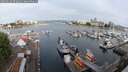 ./images/victoria/wharf/20250616/wharf20250616_072011M.jpg