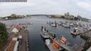 ./images/victoria/wharf/20250616/wharf20250616_082510M.jpg