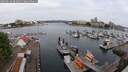 ./images/victoria/wharf/20250616/wharf20250616_083010M.jpg
