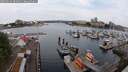 ./images/victoria/wharf/20250616/wharf20250616_084011M.jpg