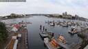 ./images/victoria/wharf/20250616/wharf20250616_084510M.jpg