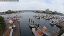 ./images/victoria/wharf/20250616/wharf20250616_085011M.jpg
