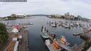 ./images/victoria/wharf/20250616/wharf20250616_091009M.jpg